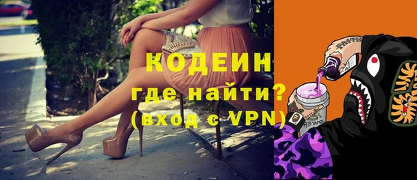 хмурый Новозыбков