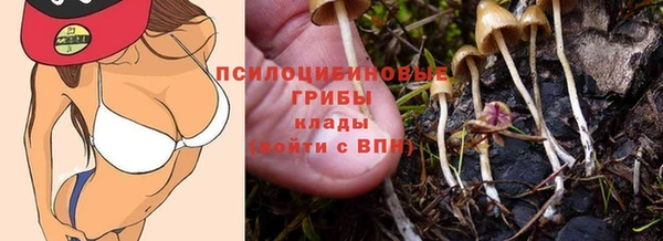 хмурый Новозыбков
