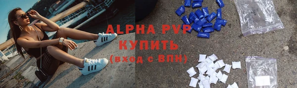 хмурый Новозыбков