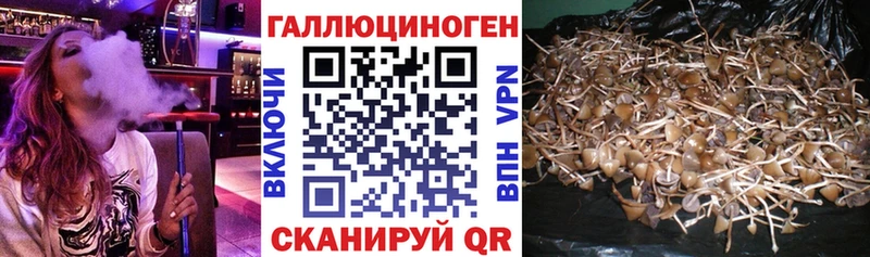 Галлюциногенные грибы ЛСД  Кунгур 