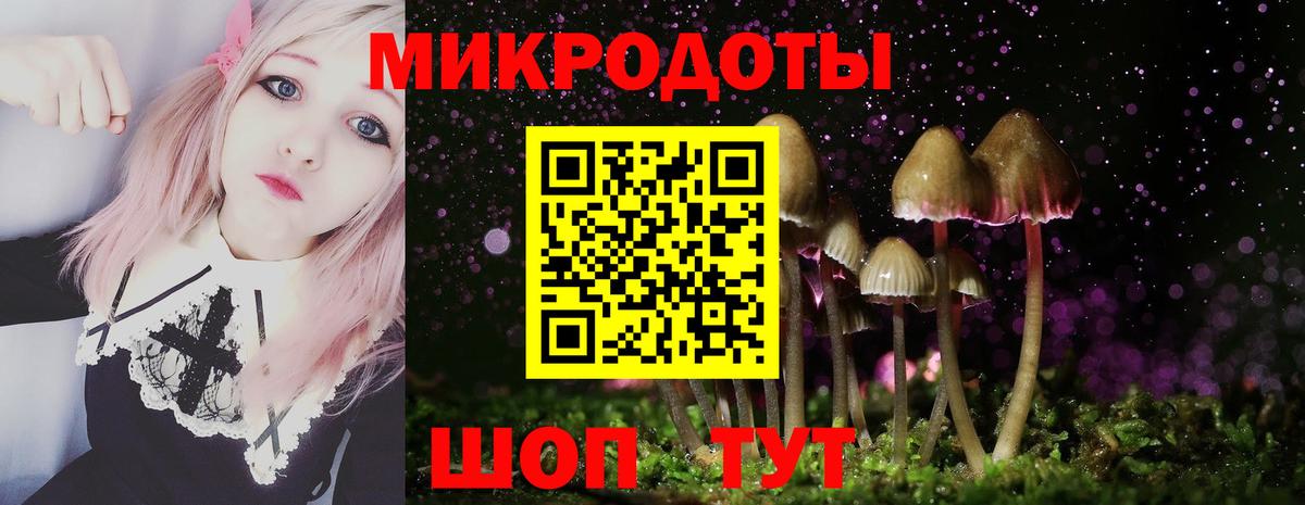 Псилоцибиновые грибы Psilocybine cubensis  Вход с VPN  Псилоцибиновые грибы Cubensis  Кунгур 