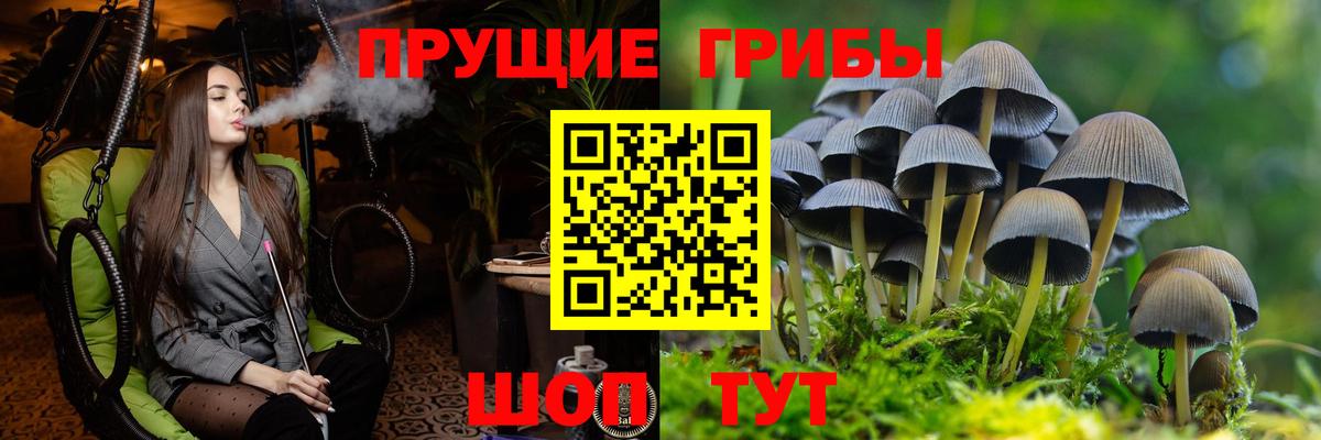 Псилоцибиновые грибы MAGIC MUSHROOMS Кунгур